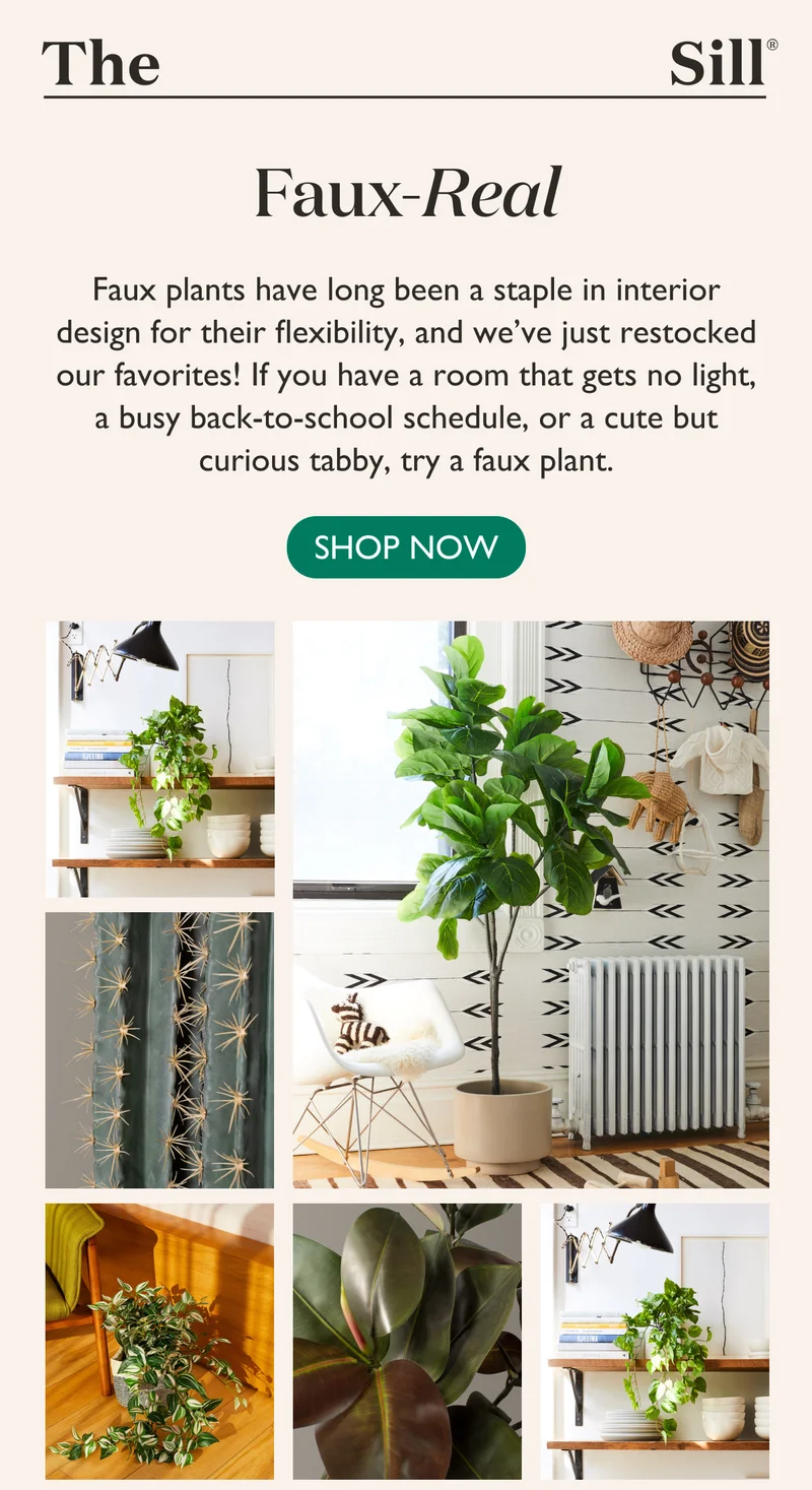 If you have a room that gets no light, a busy back-to-school schedule, or a cute but curious tabby, try a faux plant!