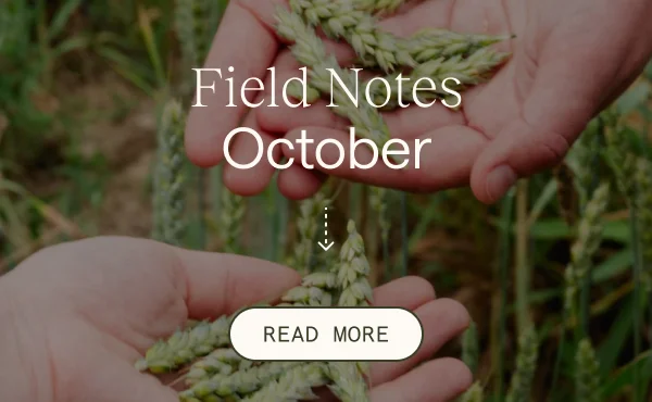 Field Notes Octobber
