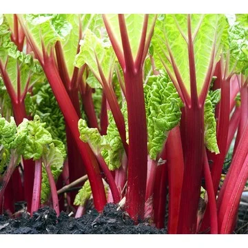 Cottage Farms 2-Piece Victoria Rhubarb