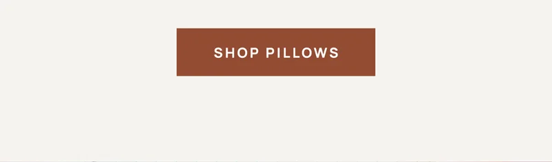 Shop Pillows