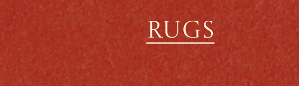 Shop Rugs