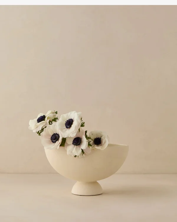 Shop Donato Bowl