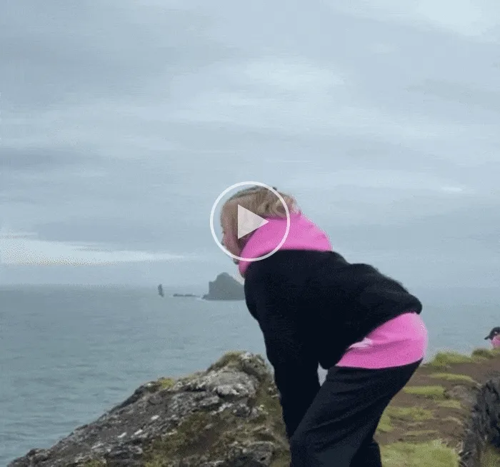 Video of a child throwing a baby puffin off a cliff.