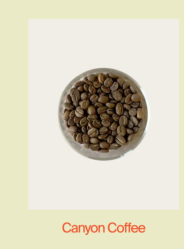 Canyon Coffee