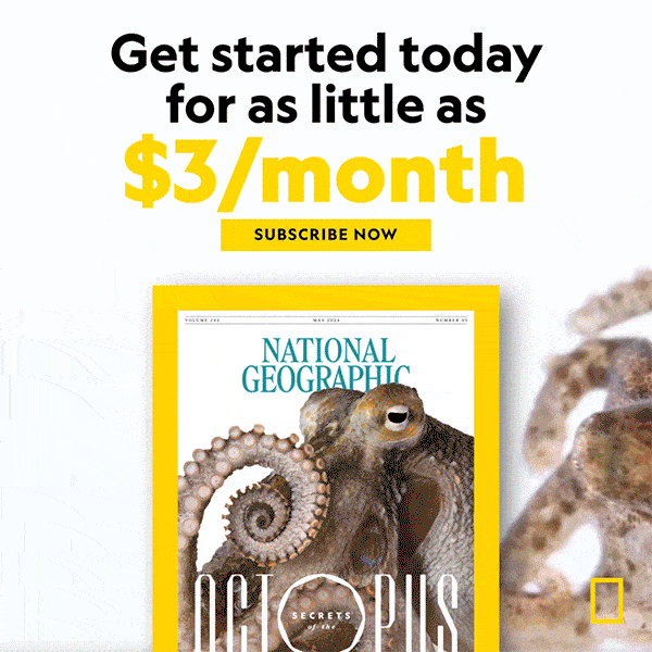 OPEN THEIR WORLD TO WONDER - GIVE THE GIFT OF NATIONAL GEOGRAPHIC.