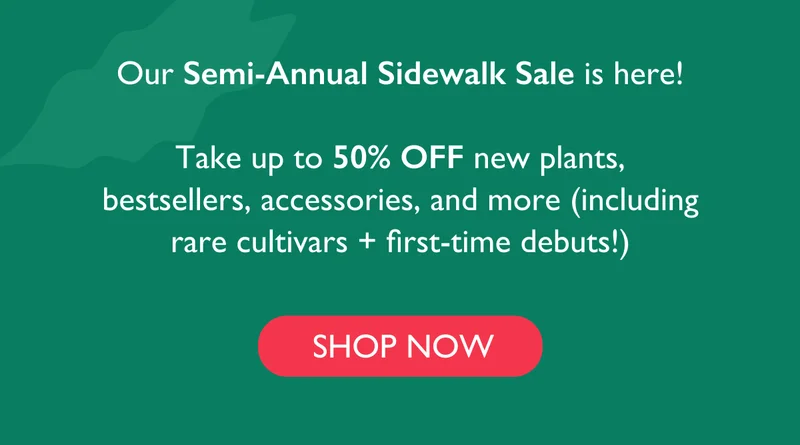 Shop new plants, bestsellers, accessories, and more!