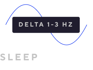 brain waves during sleep