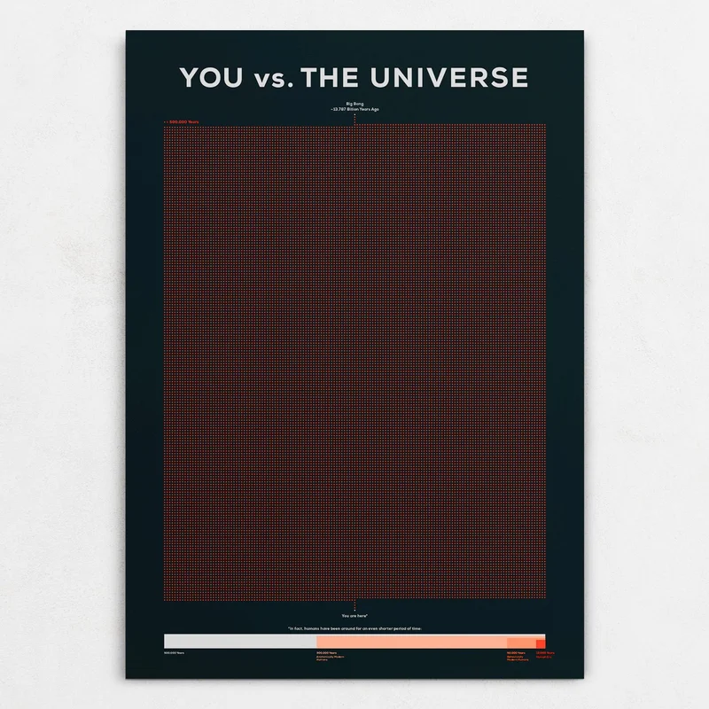 You vs. The Universe Poster