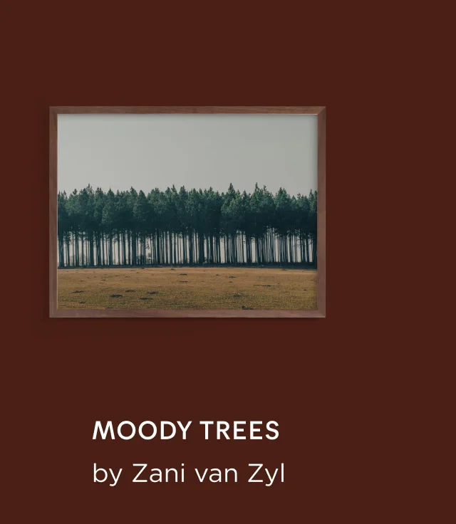 Moody Trees