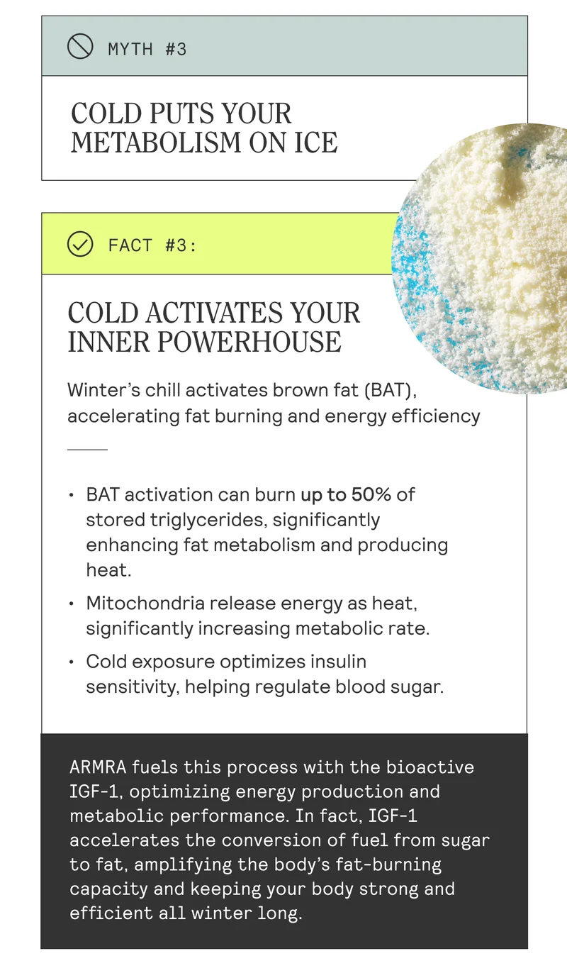 Myth 3: Cold Puts your metabolism on ice