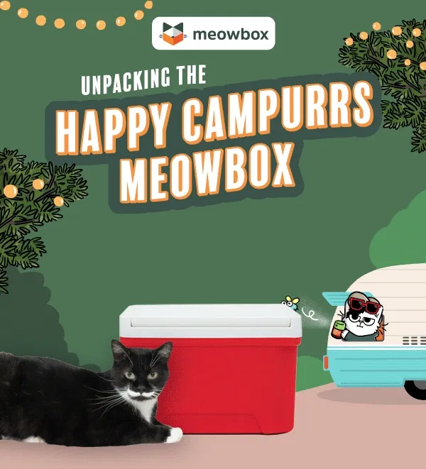 Unpacking the Happy Campurrs meowbox! Image of a black and white cat sitting in front of a red and white cooler lid opening, revealing the Happy Campurrs meowbox toys (featuring toys like the Purrfectly Toasted S'mores wand, Meowsquito Be Gone toys and more). In front of a RV background setting.