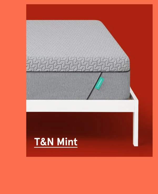 T&N Mint