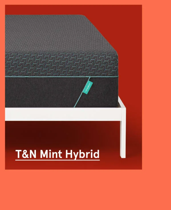 T&N Mint Hybrid