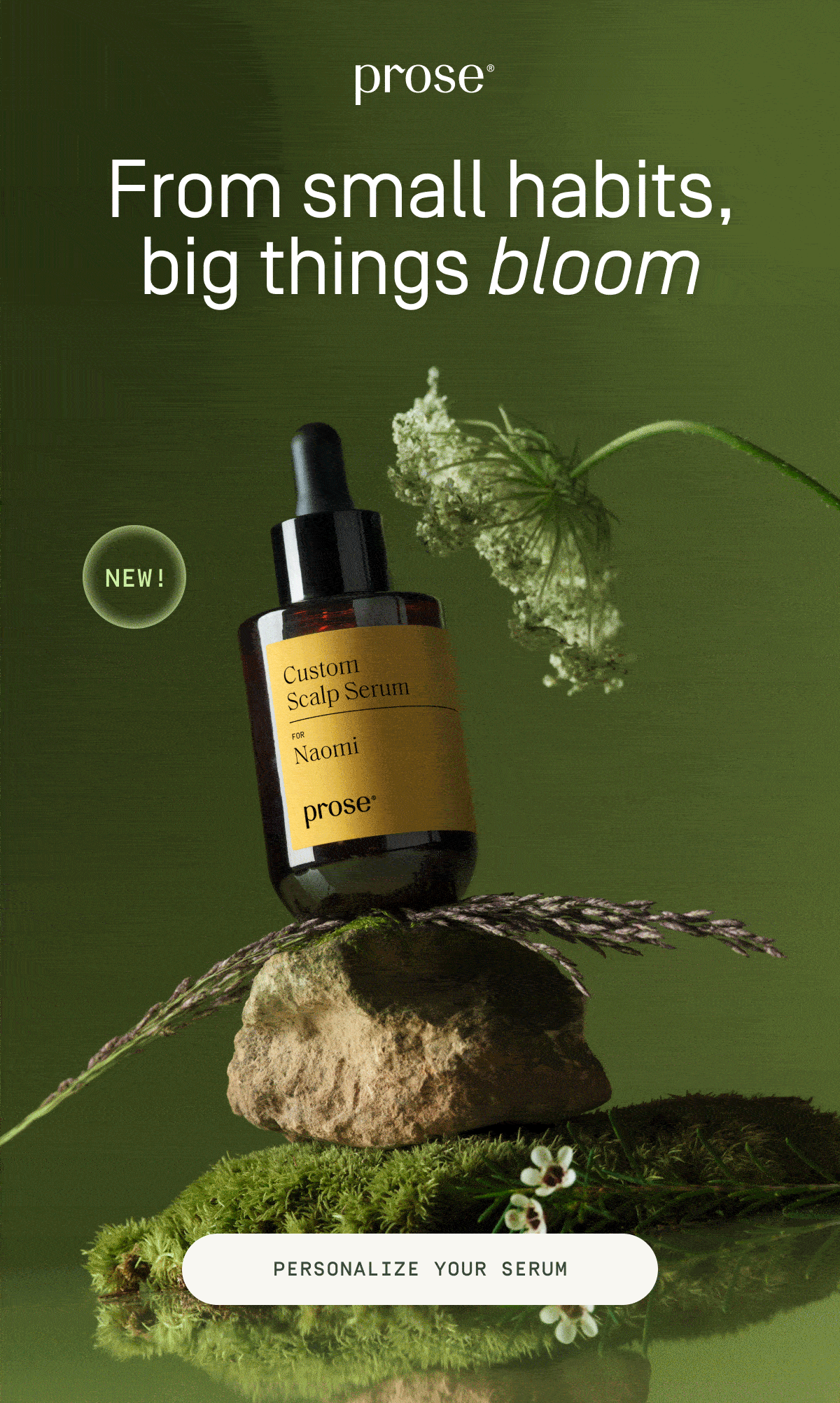 Prose | From small habits, big things bloom