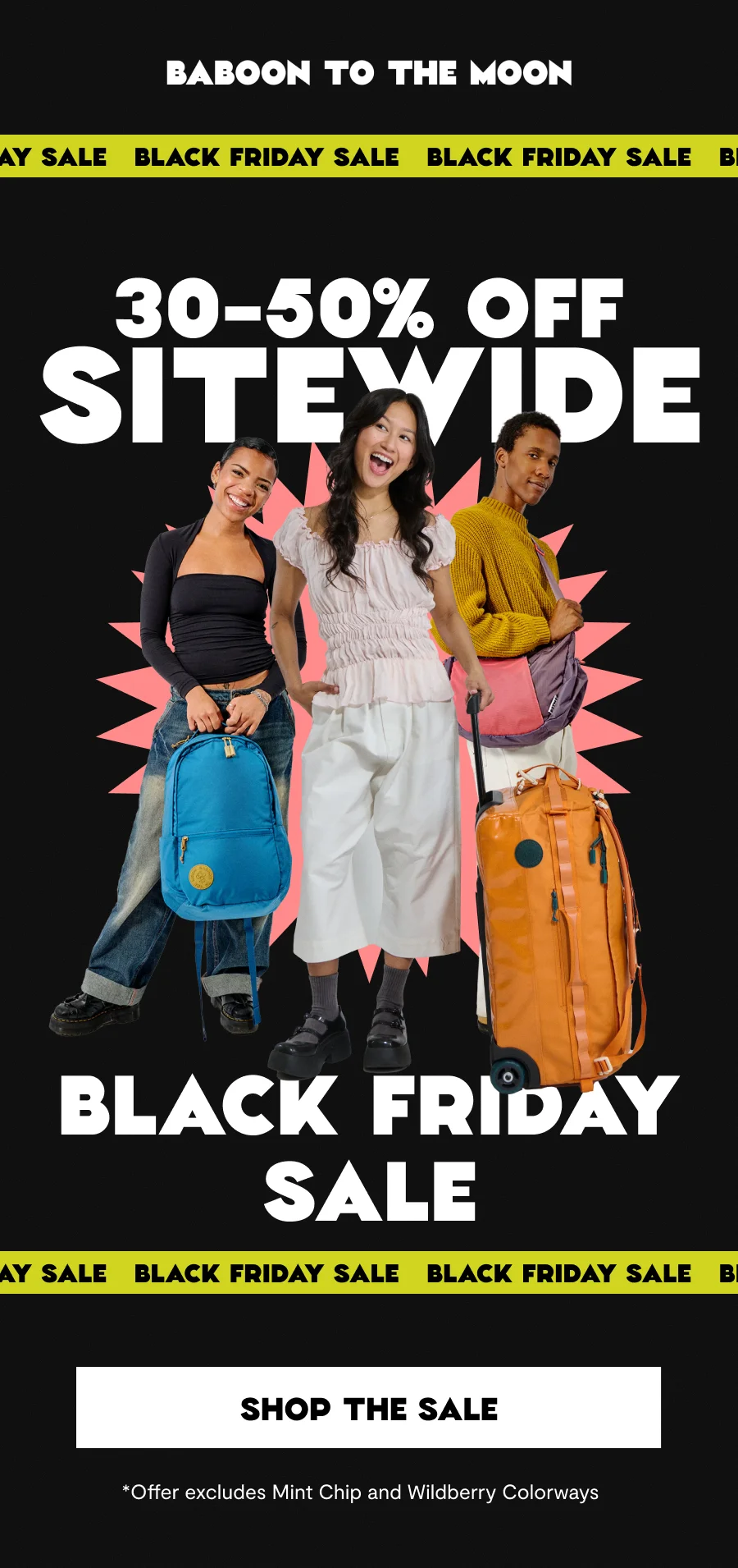 Black Friday Sale
