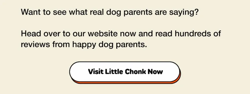 Visit Little Chonk