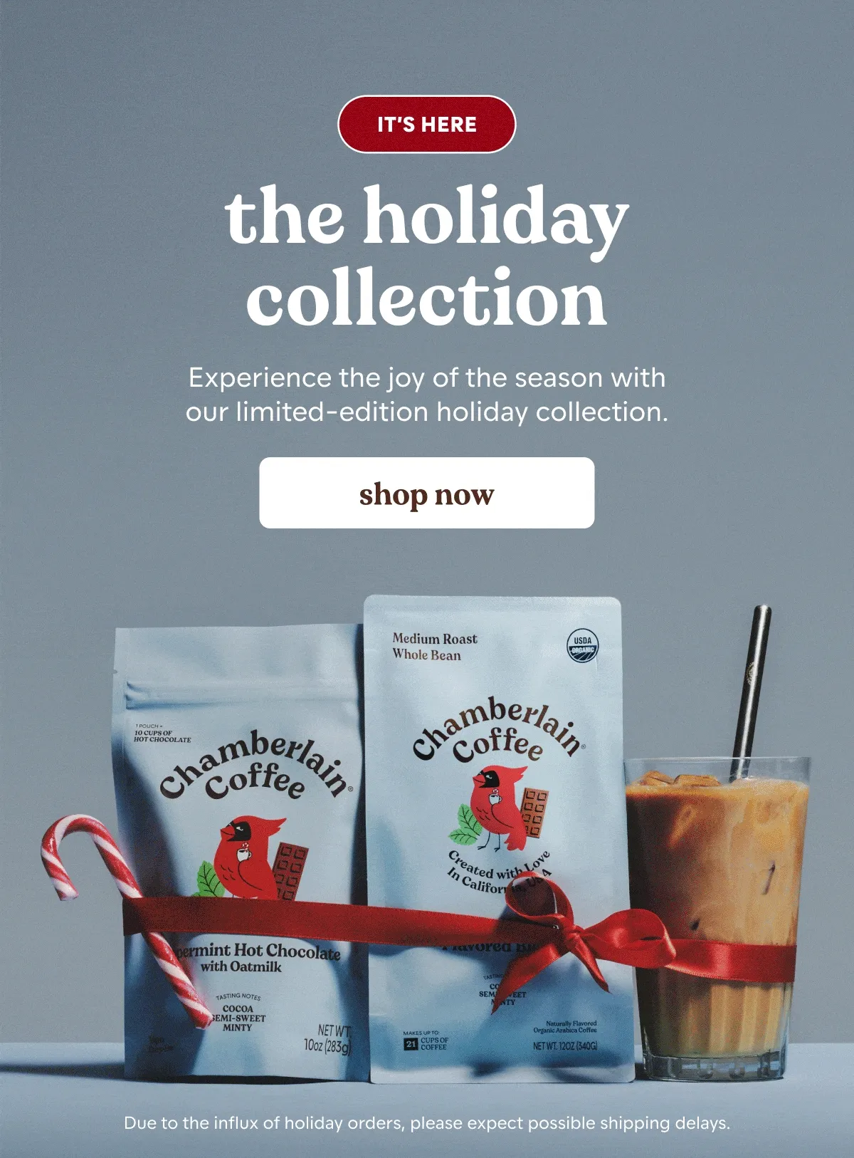 feeling festive the holiday collection