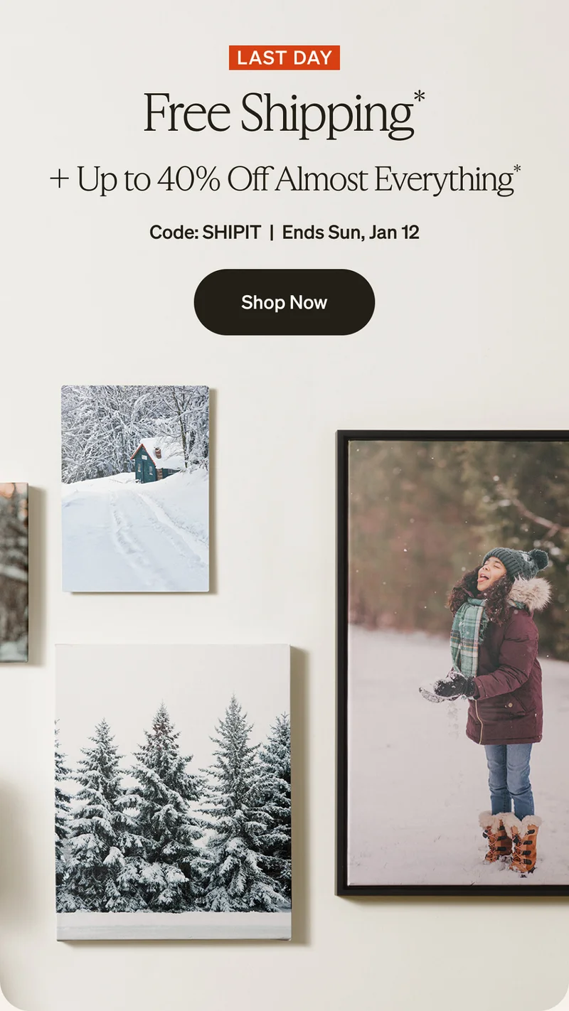 FINAL HOURS: Free shipping, no minimum + up to 40% off almost everything