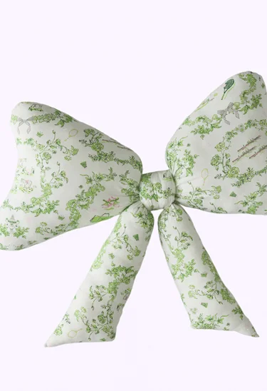 IMAGE-BOW