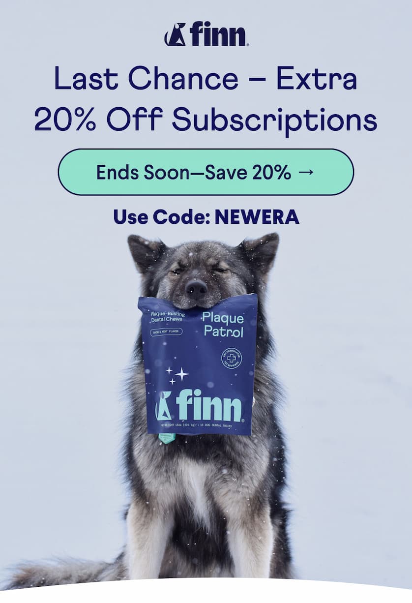 Finn Logo. Text: Last Chance – Extra 20% Off Subscriptions CTA: Ends Soon—Save 20% → Use Code: NEWERA