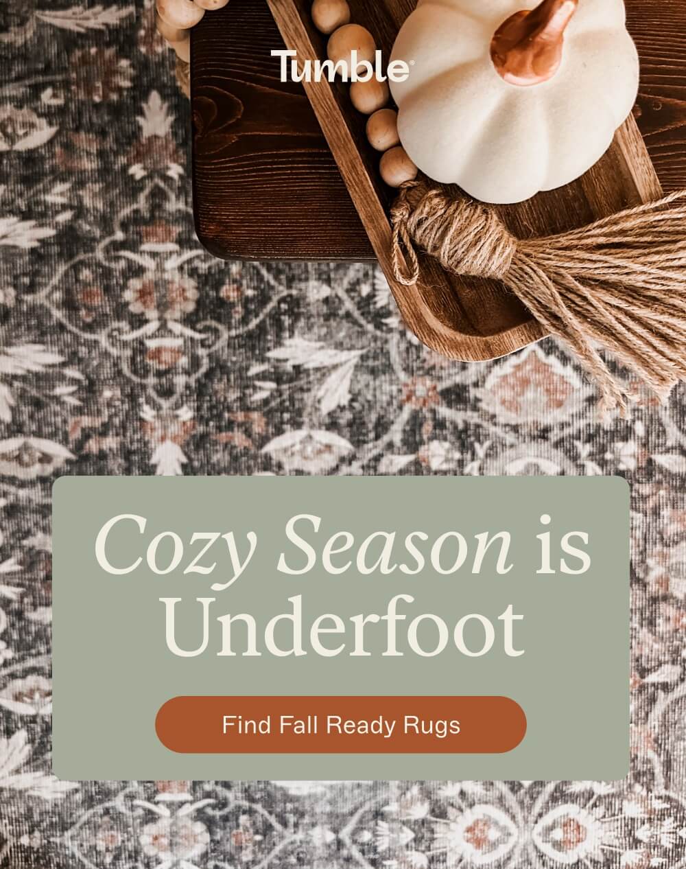 [FIND FALL-READY RUGS]