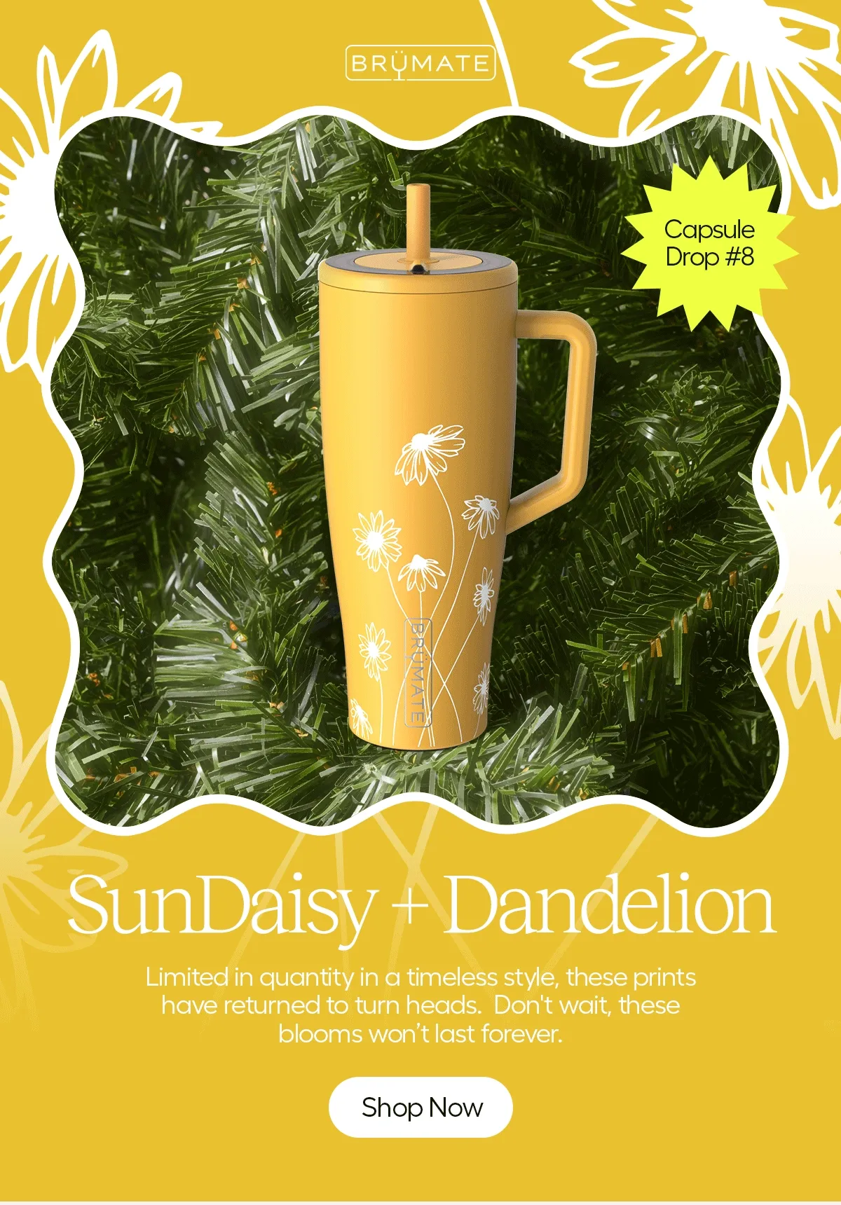Capsule Drop #8, SunDaisy + Dandelion, Limited in quantity in a timeless style, these prints have returned to turn heads. Don't wait, these blooms won't last forever. - Shop Now