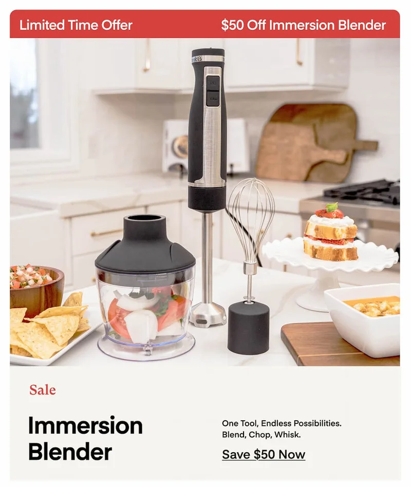 Immersion Blender Sale