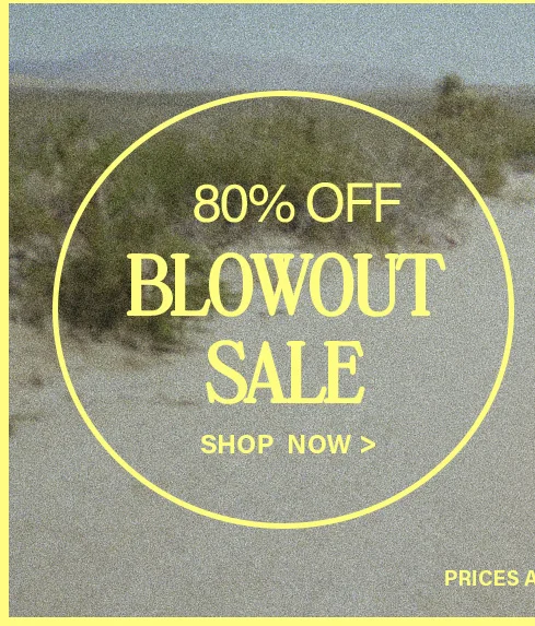 Sandy landscape with muted green foliage. Yellow circle frames "80% OFF BLOWOUT SALE SHOP NOW >" promoting a massive discount event.