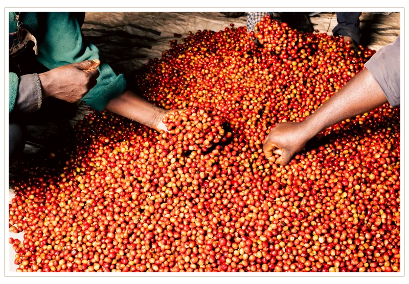 Shine Bright with Kenya Karumandi