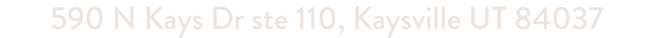 590 N Kays Dr ste 110, Kaysville UT 84037
