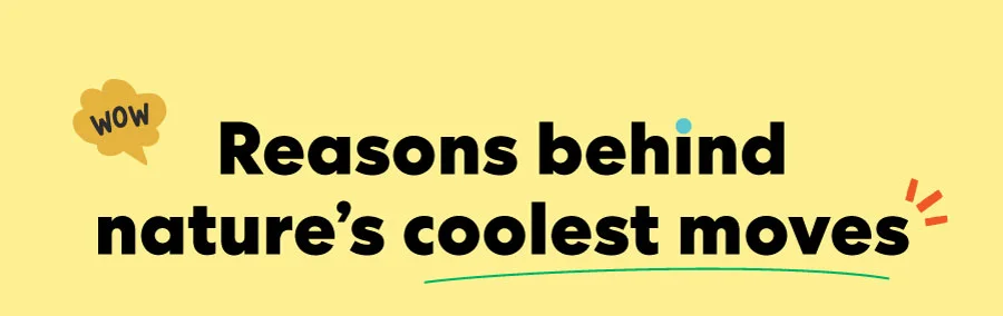 Reasons behind nature's coolest moves