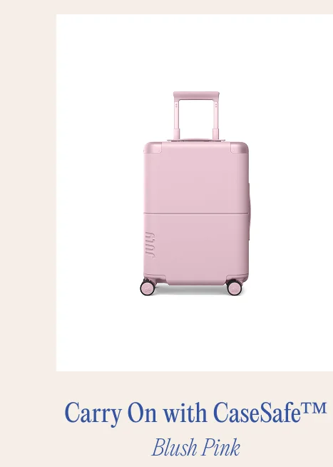 Carry On with CaseSafe™