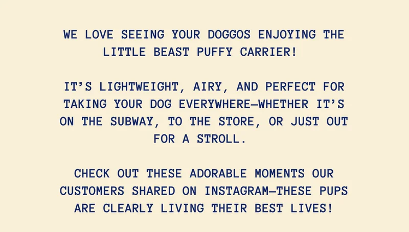 If your dog gets tired or if the pavement is too hot, having a dog carrier can be a lifesaver. It allows your dog to rest and stay cool while you’re on the go.