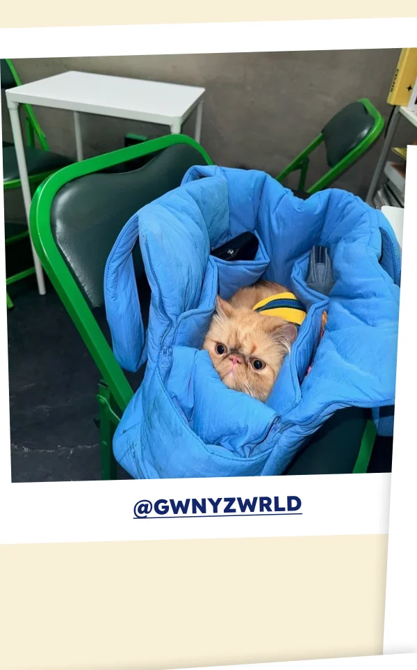 @gwnyzwrld