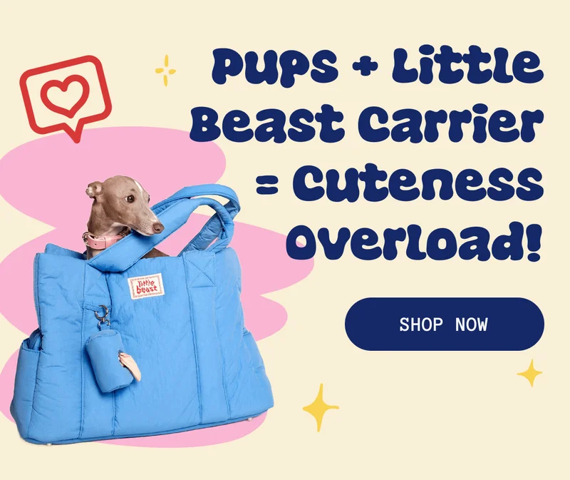 Pups + Little Beast Carrier = Cuteness Overload!