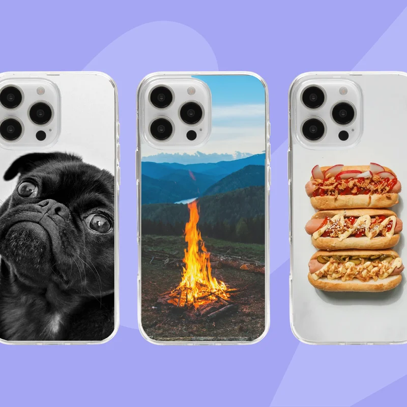 Case with black pug, case with a campfire photo, case with three hot dogs
