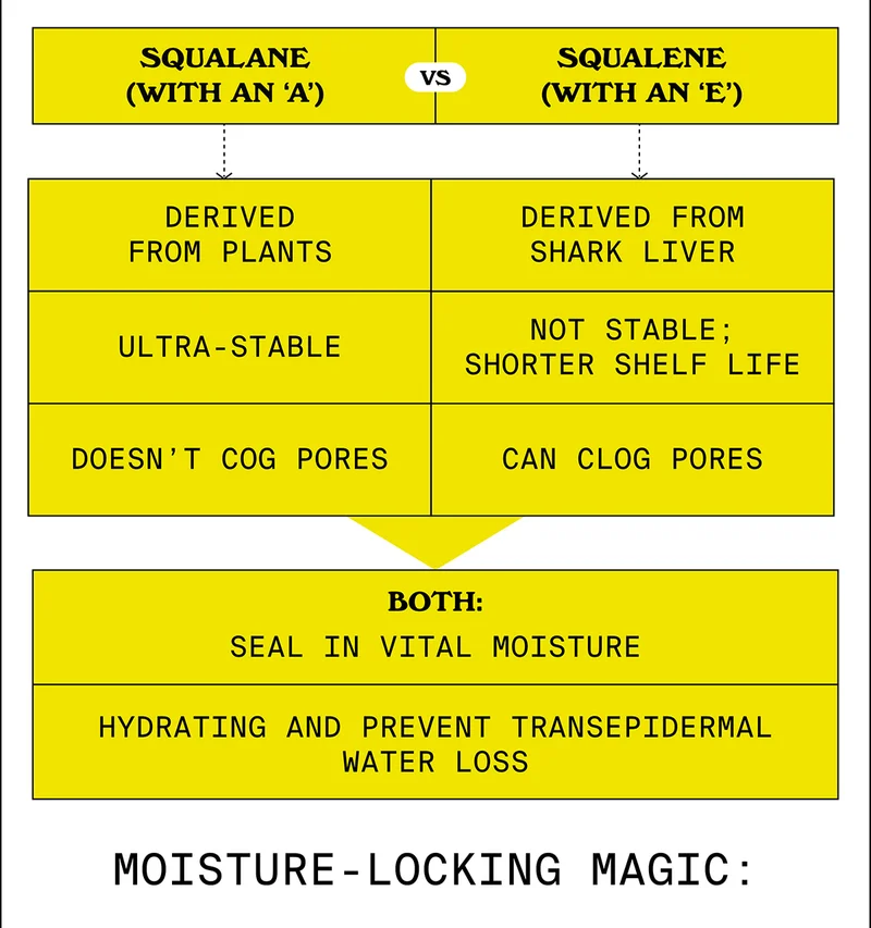 Squalane vs Squalene