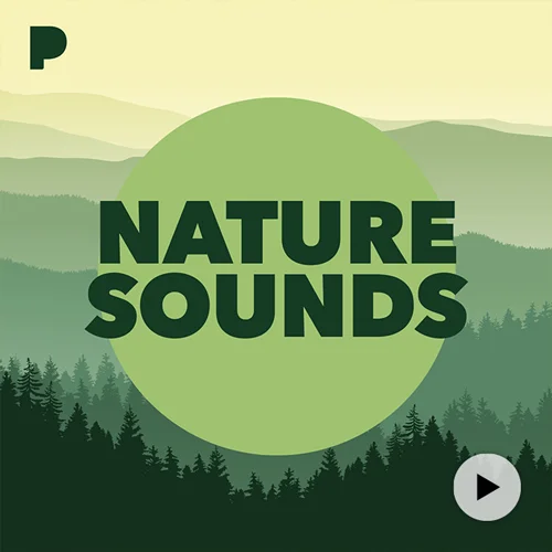 Listen to Nature Sounds Radio