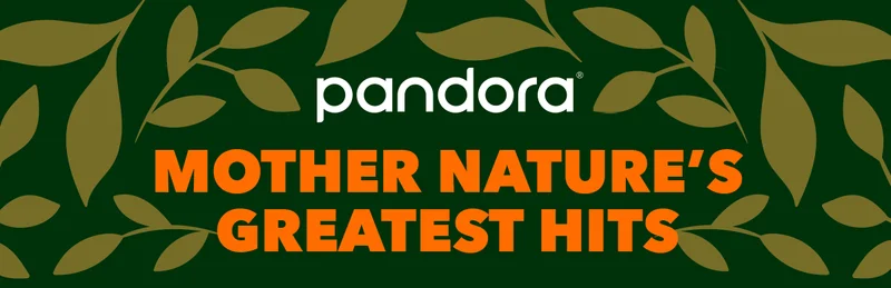Relax and unwind with nature's soundtrack on Pandora