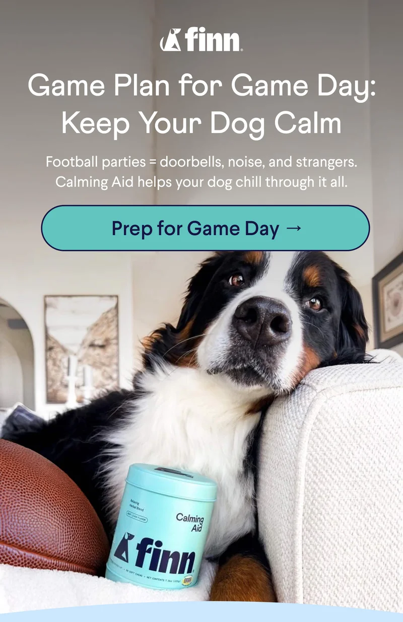 Finn logo. Text: Game Plan for Game Day: Keep Your Dog Calm Football parties = doorbells, noise, and strangers. Calming Aid helps your dog chill through it all.  CTA: Prep for Game Day →