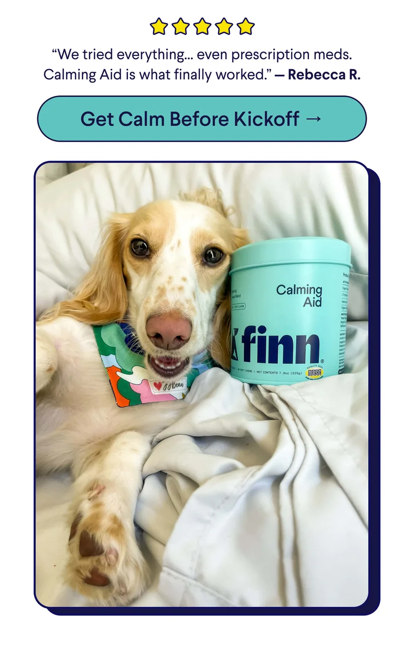 5-Star Customer Review: "“We tried everything… even prescription meds. Calming Aid is what finally worked.” — Rebecca R. CTA: Get Calm Before Kickoff –>