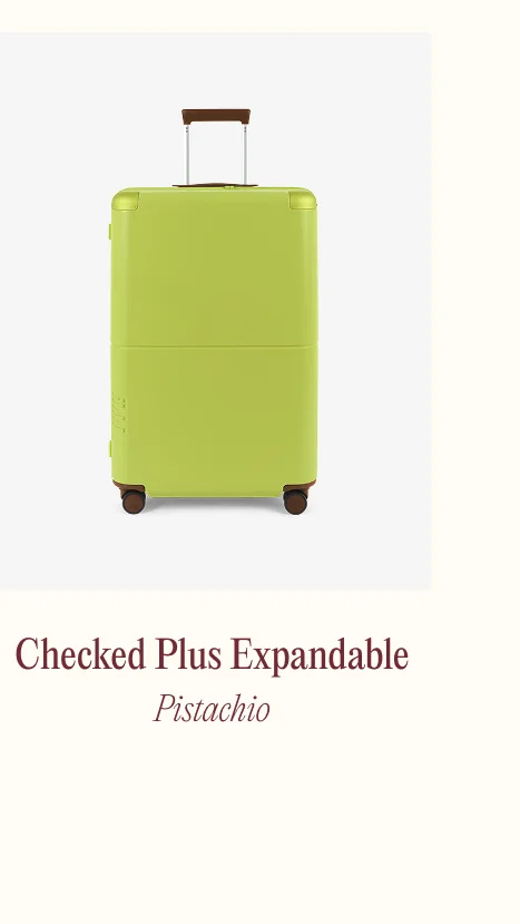 Checked Plus Expandable Pistachio