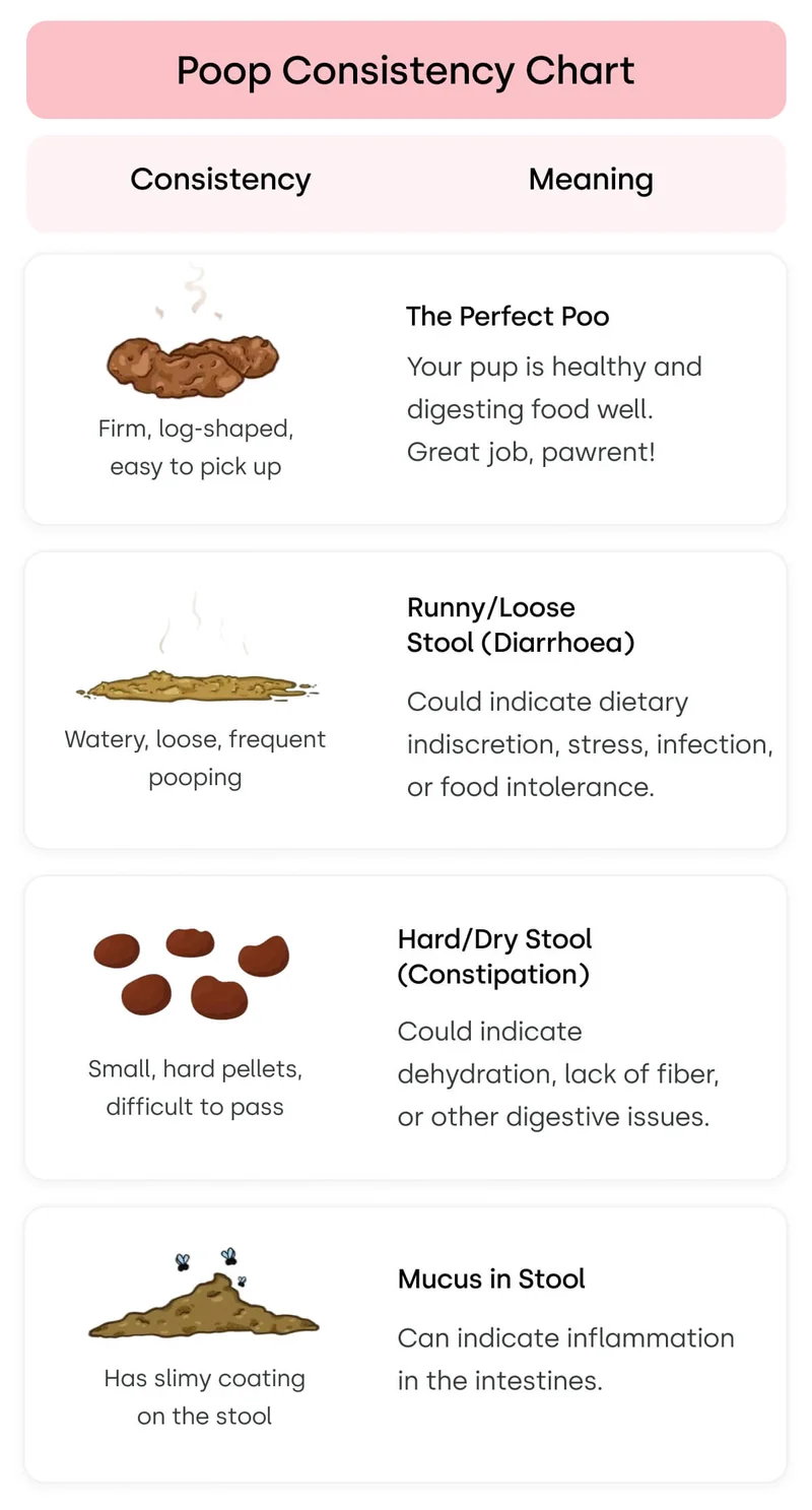 Poop Consistency Chart