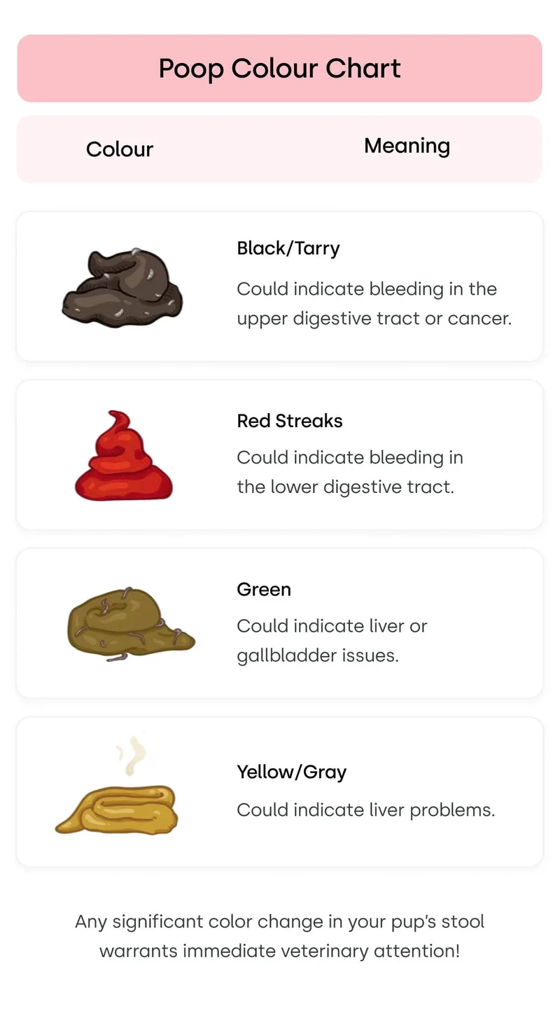 Poop Colour Chart