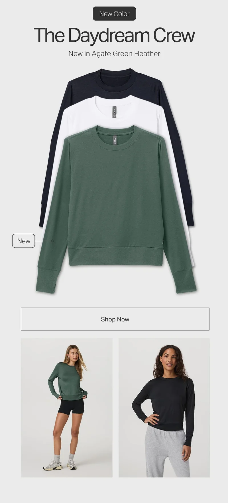 New Color: The Daydream Crew