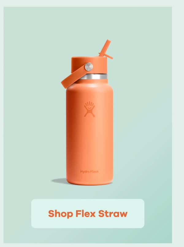 Shop Flex Straw