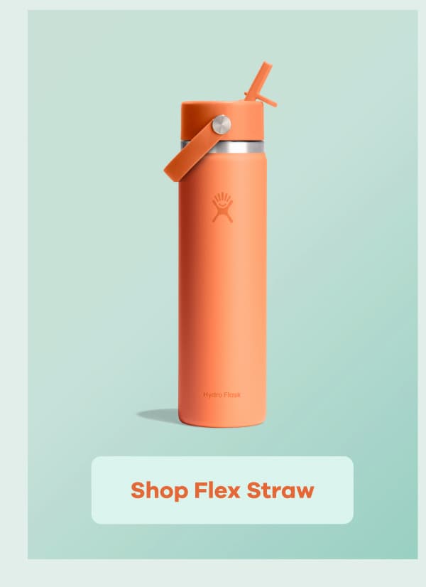 Shop Flex Straw