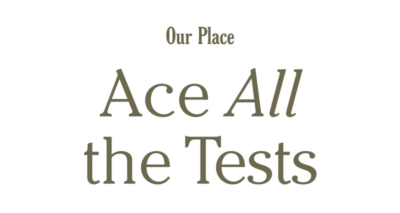 Our Place - Ace All the Tests