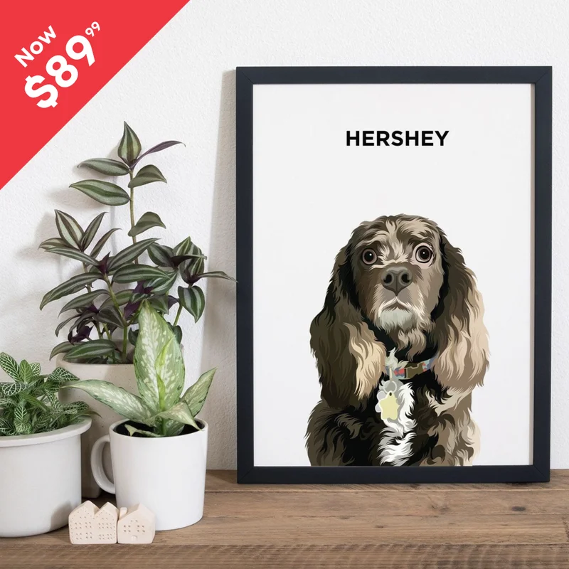 Pet Portrait