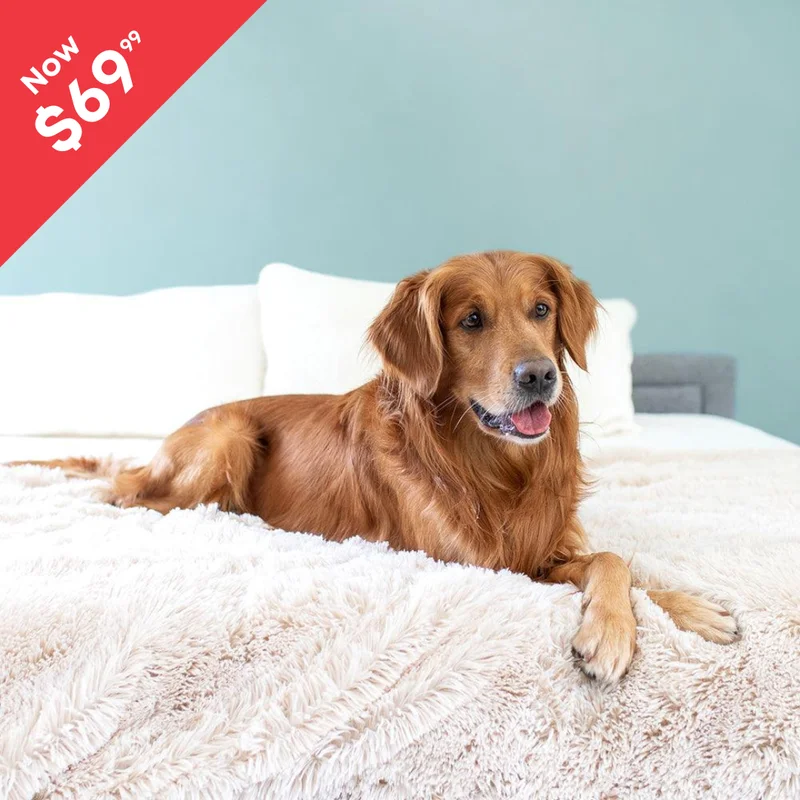 PawProof Throw Blanket